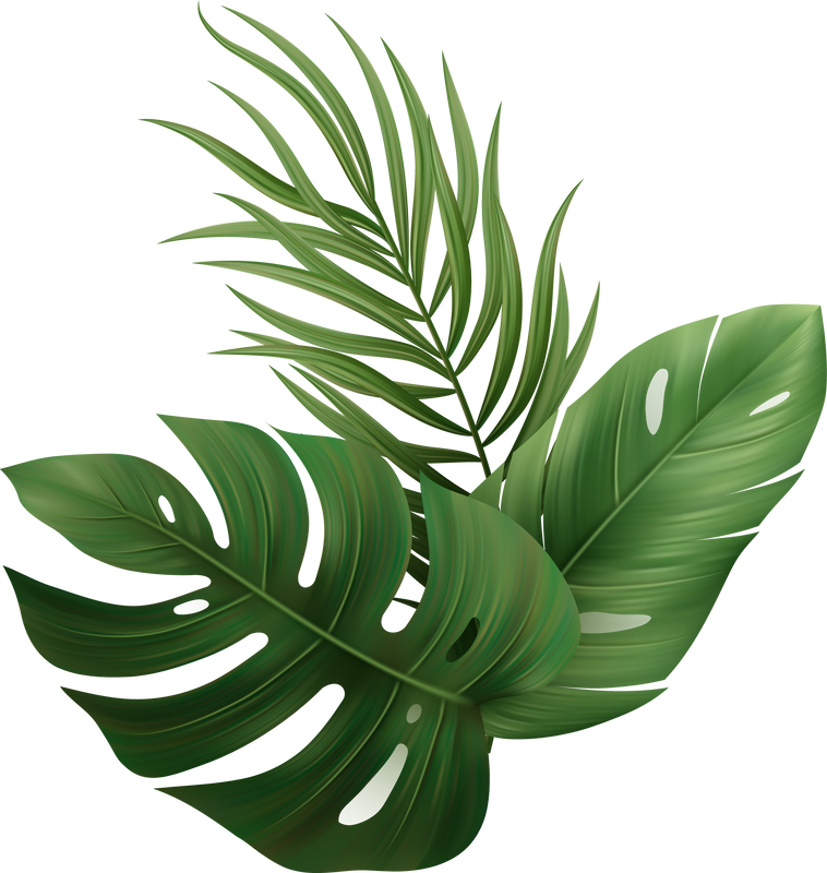 Palm Leaves Tropic